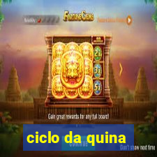 ciclo da quina